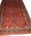 Persian Shiraz Qahquai (327077)